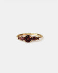 Yellow gold ring with five gradient stones - Rhodolite and Tourmaline